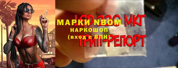 шишки Новодвинск