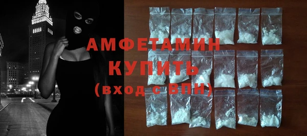 шишки Новодвинск