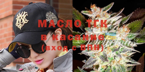 шишки Новодвинск