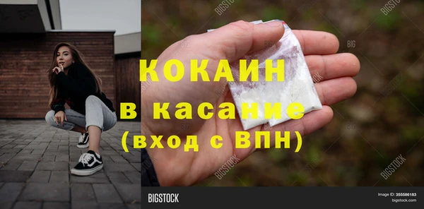 шишки Новодвинск