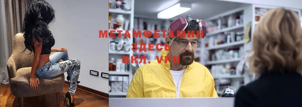 шишки Новодвинск