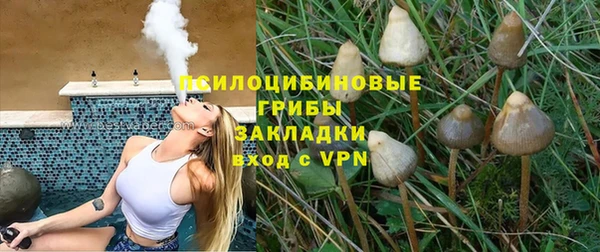 гидра Всеволожск