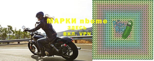 шишки Новодвинск