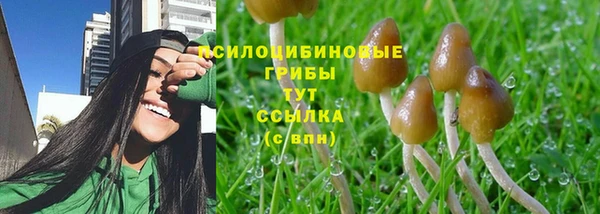 шишки Новодвинск