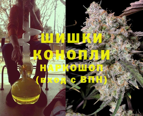 PSILOCYBIN Новозыбков