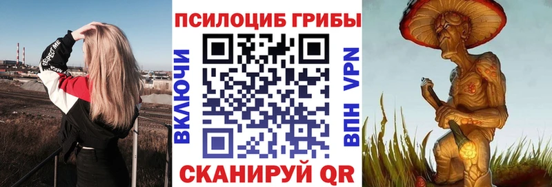 Галлюциногенные грибы прущие грибы  Курчалой 