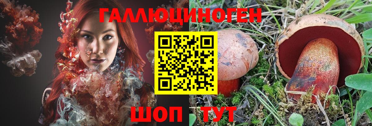Псилоцибиновые грибы Magic Shrooms Курчалой