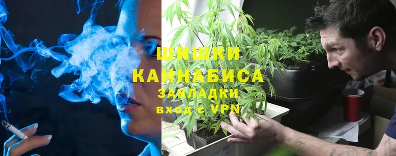 Каннабис OG Kush  Курчалой 