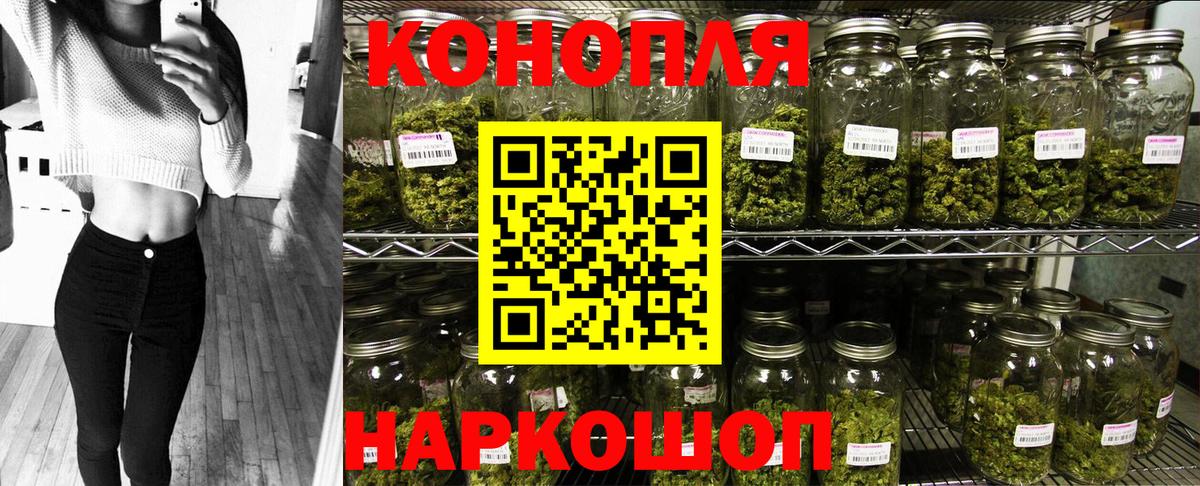 Канабис тримм Курчалой